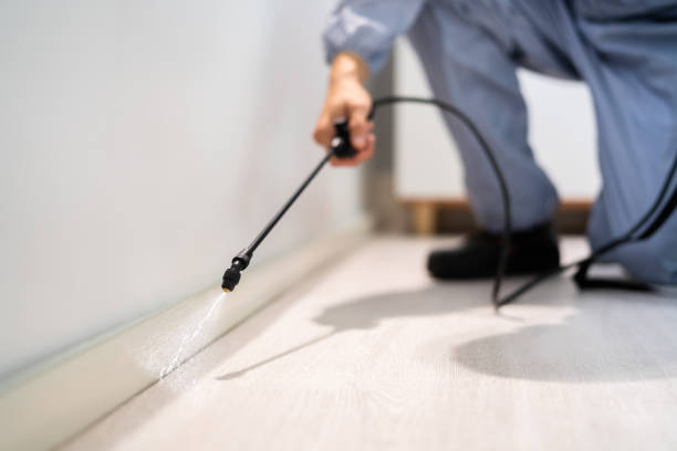 Certified termite inspector examining foundation in Converse